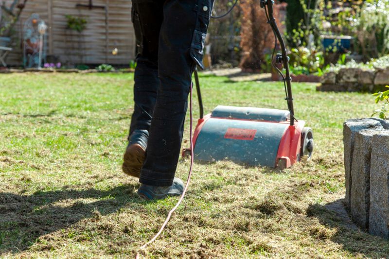 Residential Lawn Aeration Service