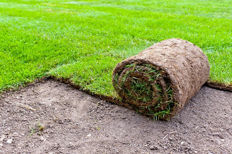 Fescue Sod Installation in Rockwall, TX