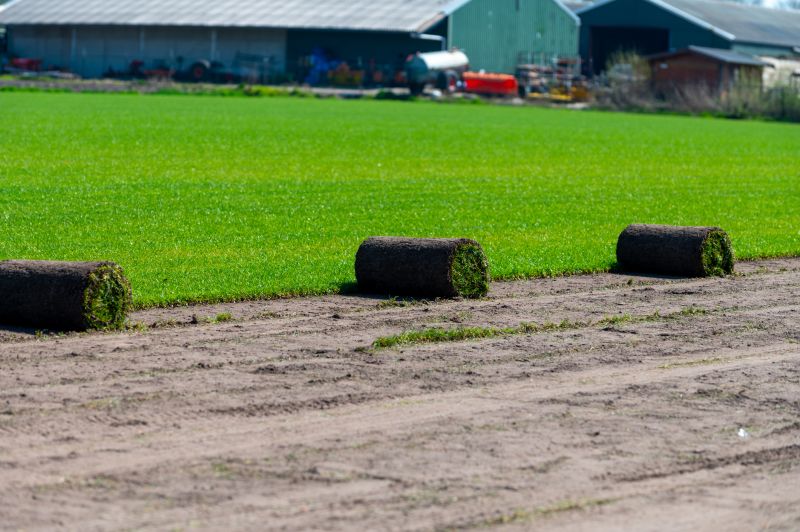 Ryegrass Sod Installation in Rockwall, TX