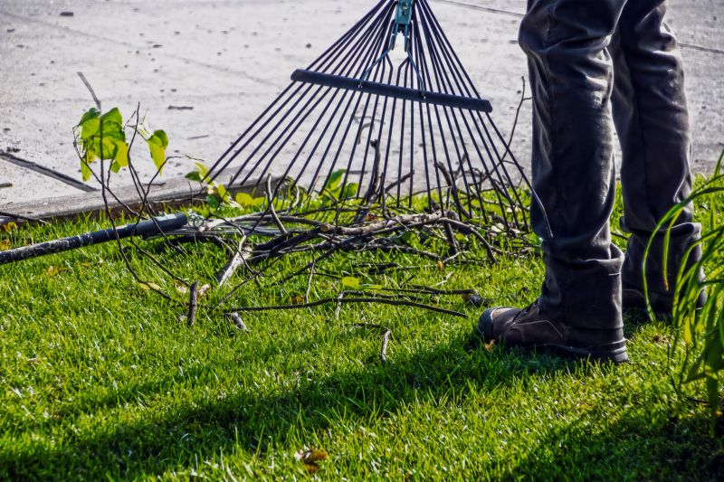 Power Raking Techniques and Benefits