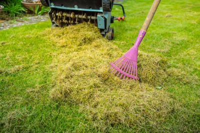 Removes thick thatch buildup.