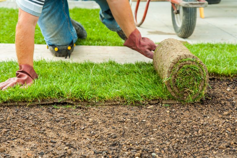 Bahia Sod Installation in Honolulu, HI