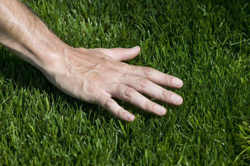 Bermuda Grass Installation in Honolulu, HI