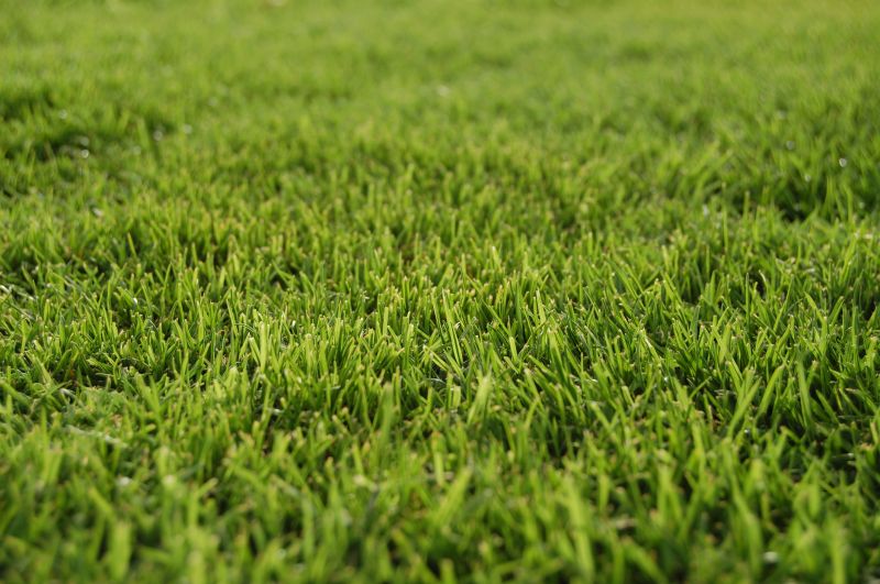 Bermuda Grass Installation in Rockwall, TX
