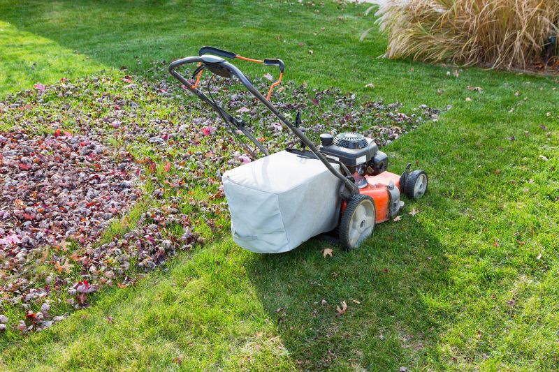 Seasonal Yard Cleanup Tools