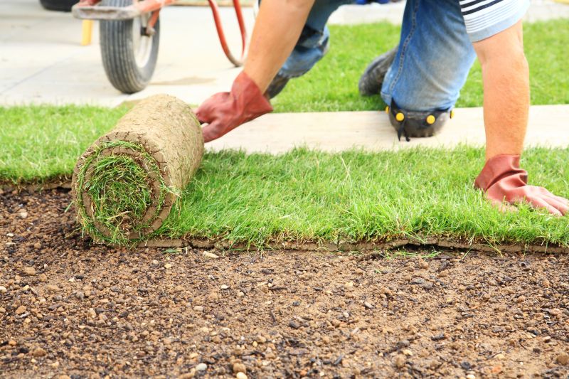 Fescue Sod Installation in Honolulu, HI