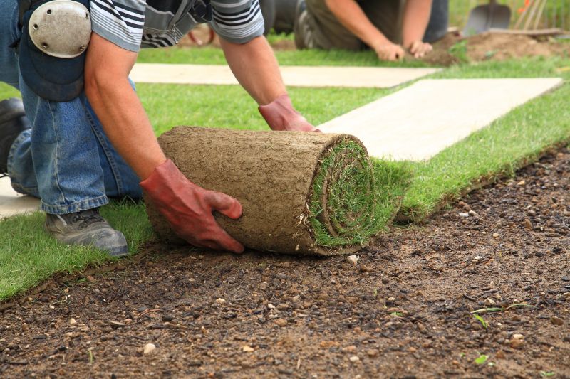 Fescue Sod Installation in Rockwall, TX