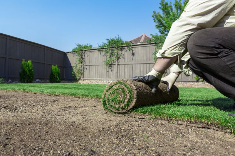 Fescue Sod Installation in Ventura County, CA