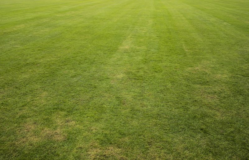 Grass Installation in Honolulu, HI