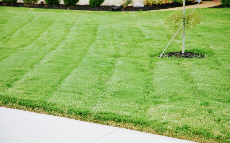 Lawn Installation in Ventura County, CA