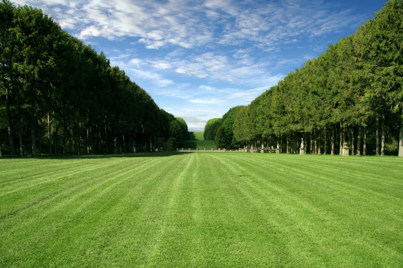 Lawn Installation in Aiken, SC