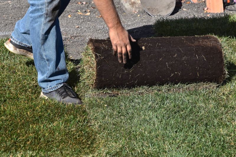 Lawn Replacement in Rockwall, TX