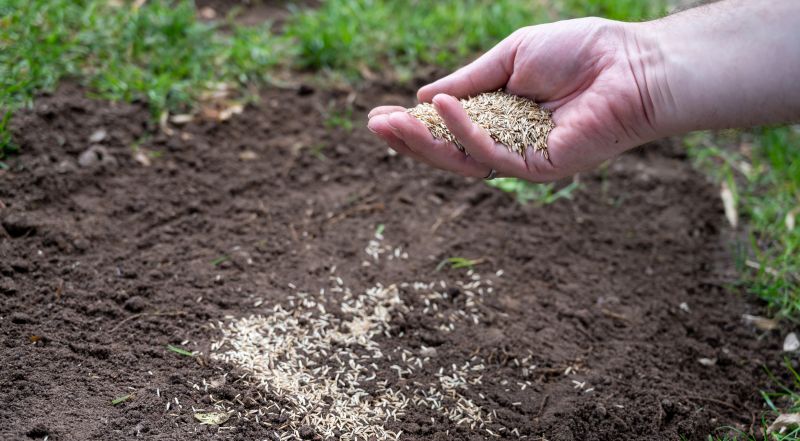Lawn Seeding in Honolulu, HI