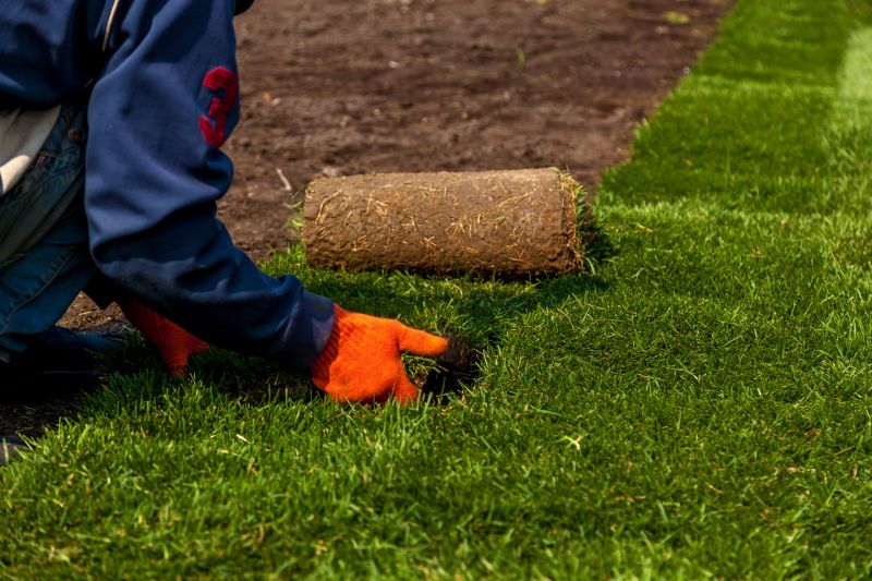 Lawn Sodding in Ventura County, CA