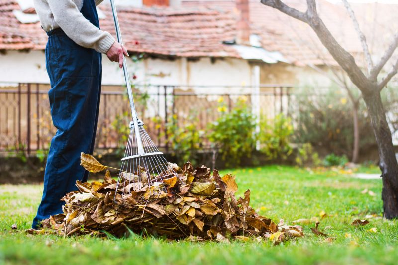 Leaf Raking Service in Honolulu, HI