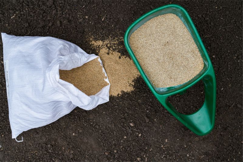 New Lawn Seeding in Honolulu, HI
