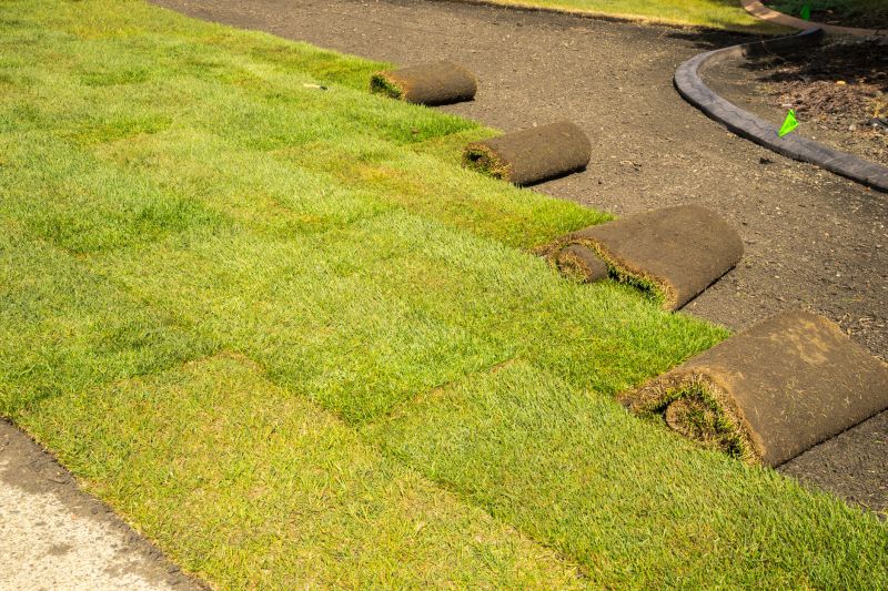 Sod Installation in Aiken, SC