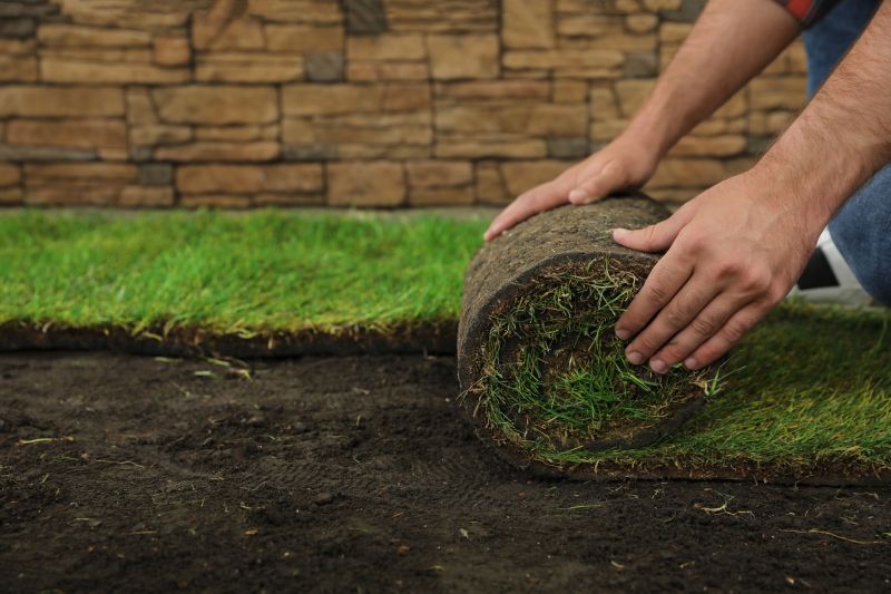 Sod Installation in Aiken, SC
