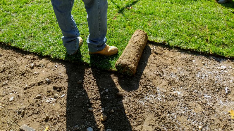 Sod Installation in Rockwall, TX