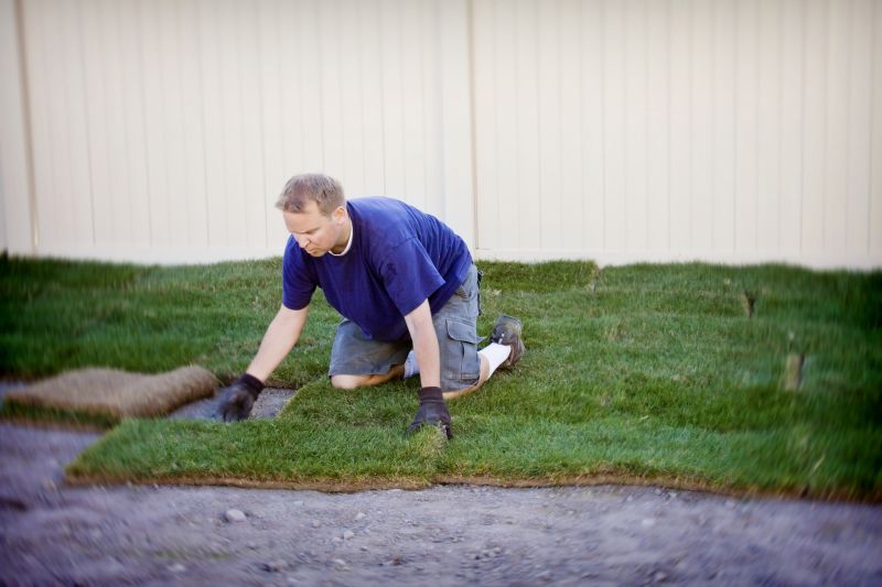 Sod Replacement in Aiken, SC
