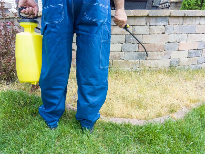Spring Lawn Treatment in Honolulu, HI