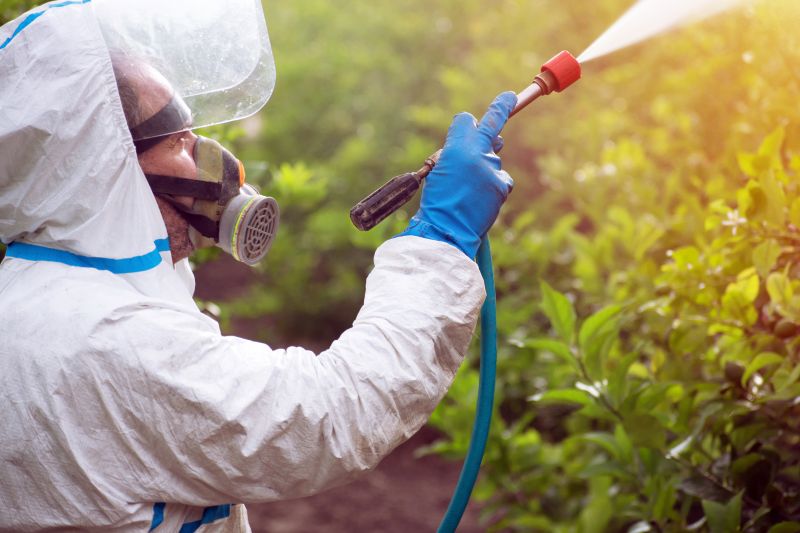 Weed Control Service in Aiken, SC