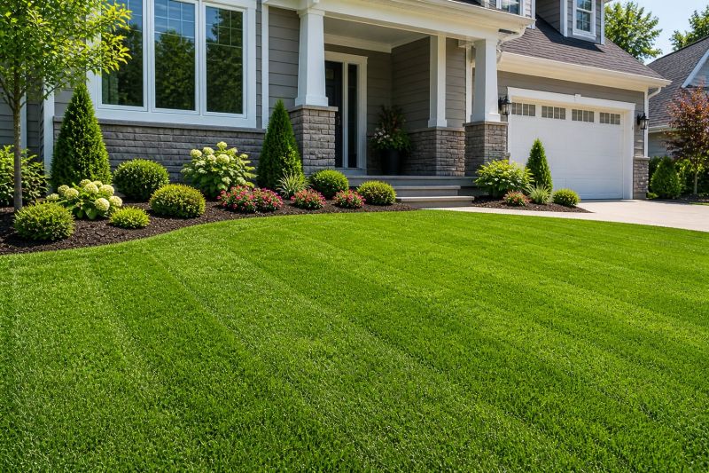 Yard Sod Replacement in Honolulu, HI
