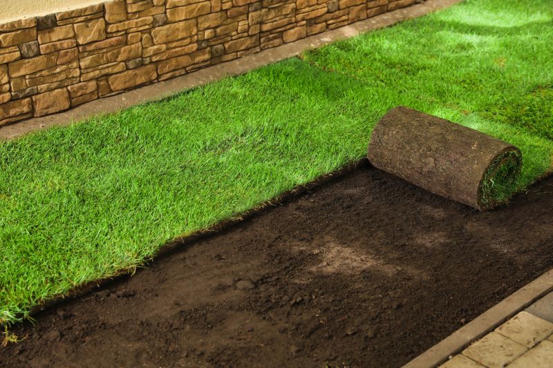 Zoysia Grass Installation in Ventura County, CA